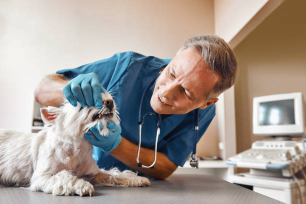 Best Urgent Dental Care in Madill, OK